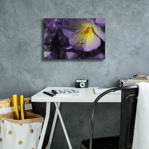 Image of 'Purple Pansy' by Lori Deiter, Canvas Wall Art,18 x 12