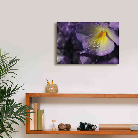 Image of 'Purple Pansy' by Lori Deiter, Canvas Wall Art,18 x 12