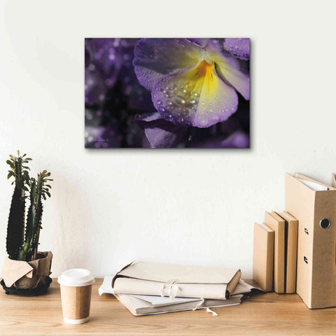 Image of 'Purple Pansy' by Lori Deiter, Canvas Wall Art,18 x 12