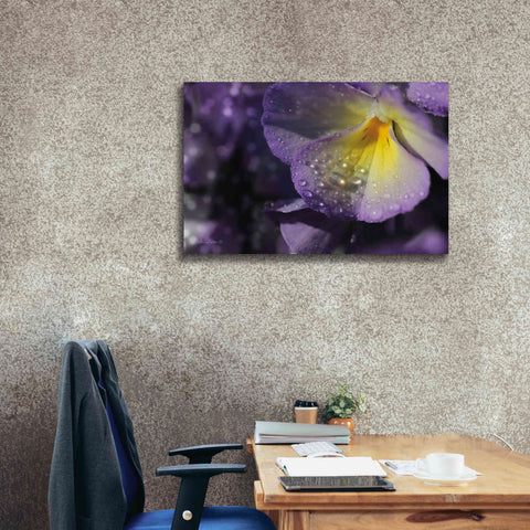 Image of 'Purple Pansy' by Lori Deiter, Canvas Wall Art,40 x 26