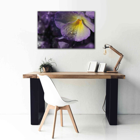 Image of 'Purple Pansy' by Lori Deiter, Canvas Wall Art,40 x 26