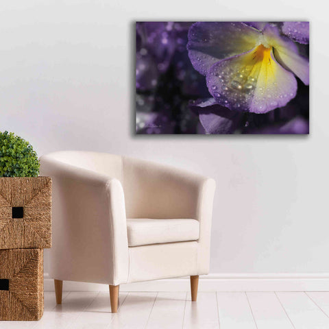 Image of 'Purple Pansy' by Lori Deiter, Canvas Wall Art,40 x 26