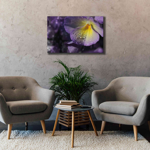 Image of 'Purple Pansy' by Lori Deiter, Canvas Wall Art,40 x 26