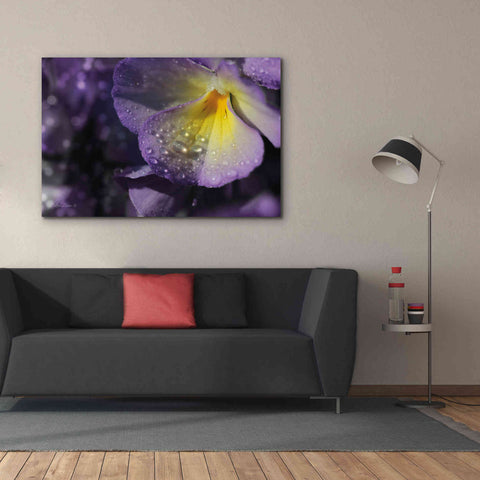 Image of 'Purple Pansy' by Lori Deiter, Canvas Wall Art,60 x 40