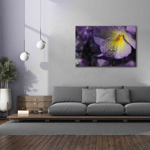 Image of 'Purple Pansy' by Lori Deiter, Canvas Wall Art,60 x 40