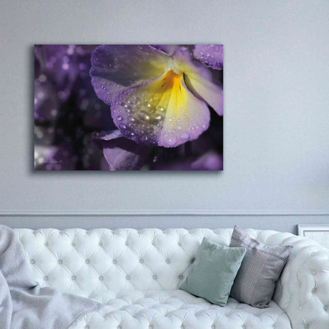 Image of 'Purple Pansy' by Lori Deiter, Canvas Wall Art,60 x 40