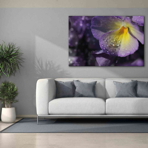 Image of 'Purple Pansy' by Lori Deiter, Canvas Wall Art,60 x 40