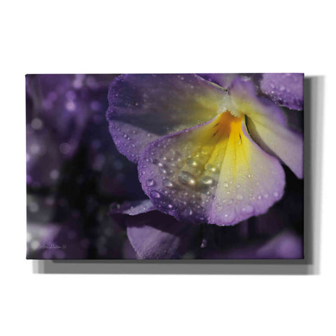 Image of 'Purple Pansy' by Lori Deiter, Canvas Wall Art