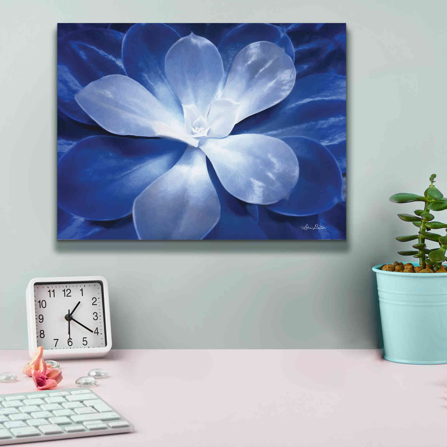 'Blue Succulent II' by Lori Deiter, Canvas Wall Art,16 x 12