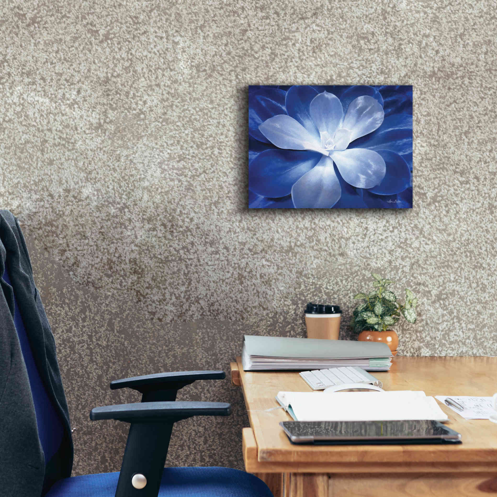 'Blue Succulent II' by Lori Deiter, Canvas Wall Art,16 x 12
