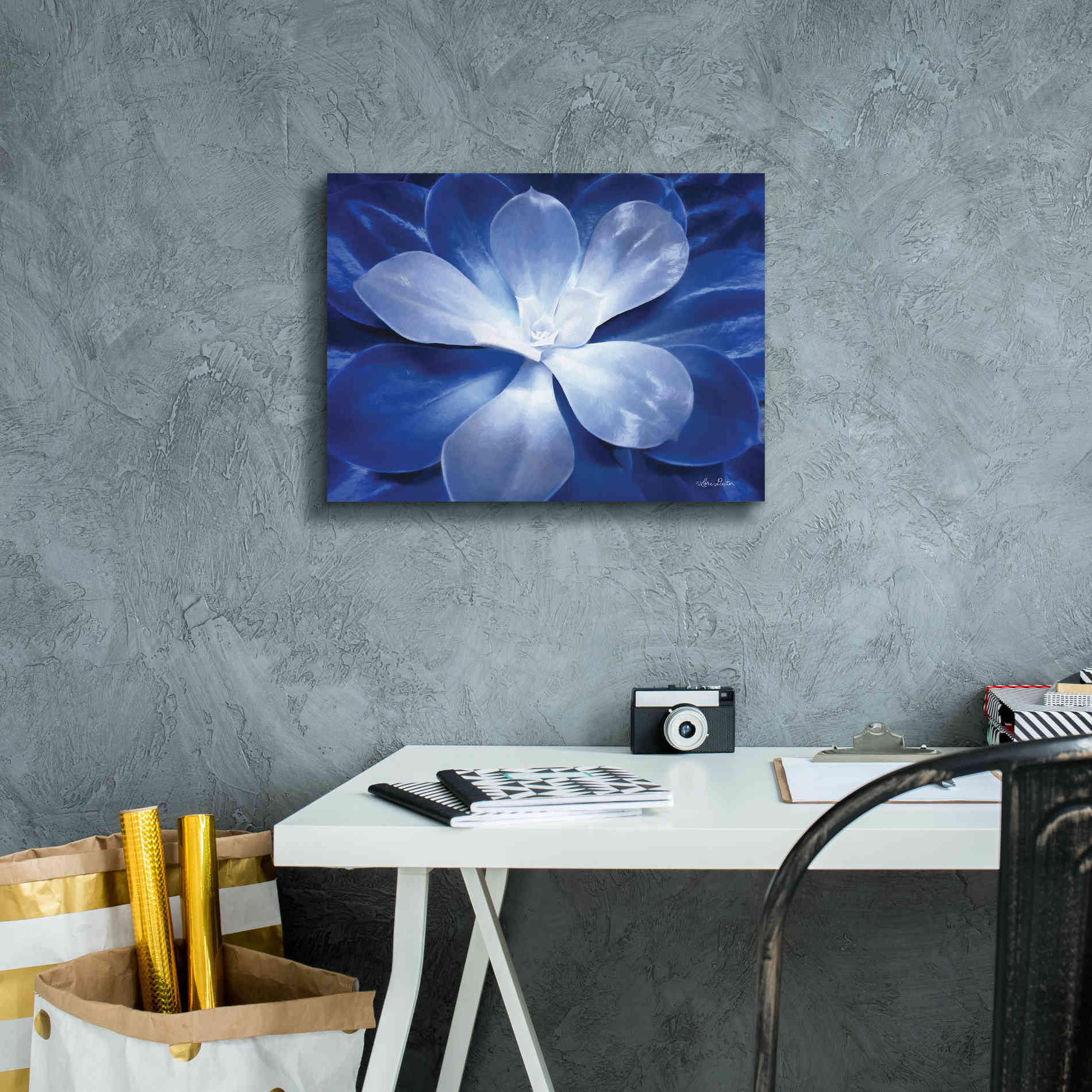 'Blue Succulent II' by Lori Deiter, Canvas Wall Art,16 x 12