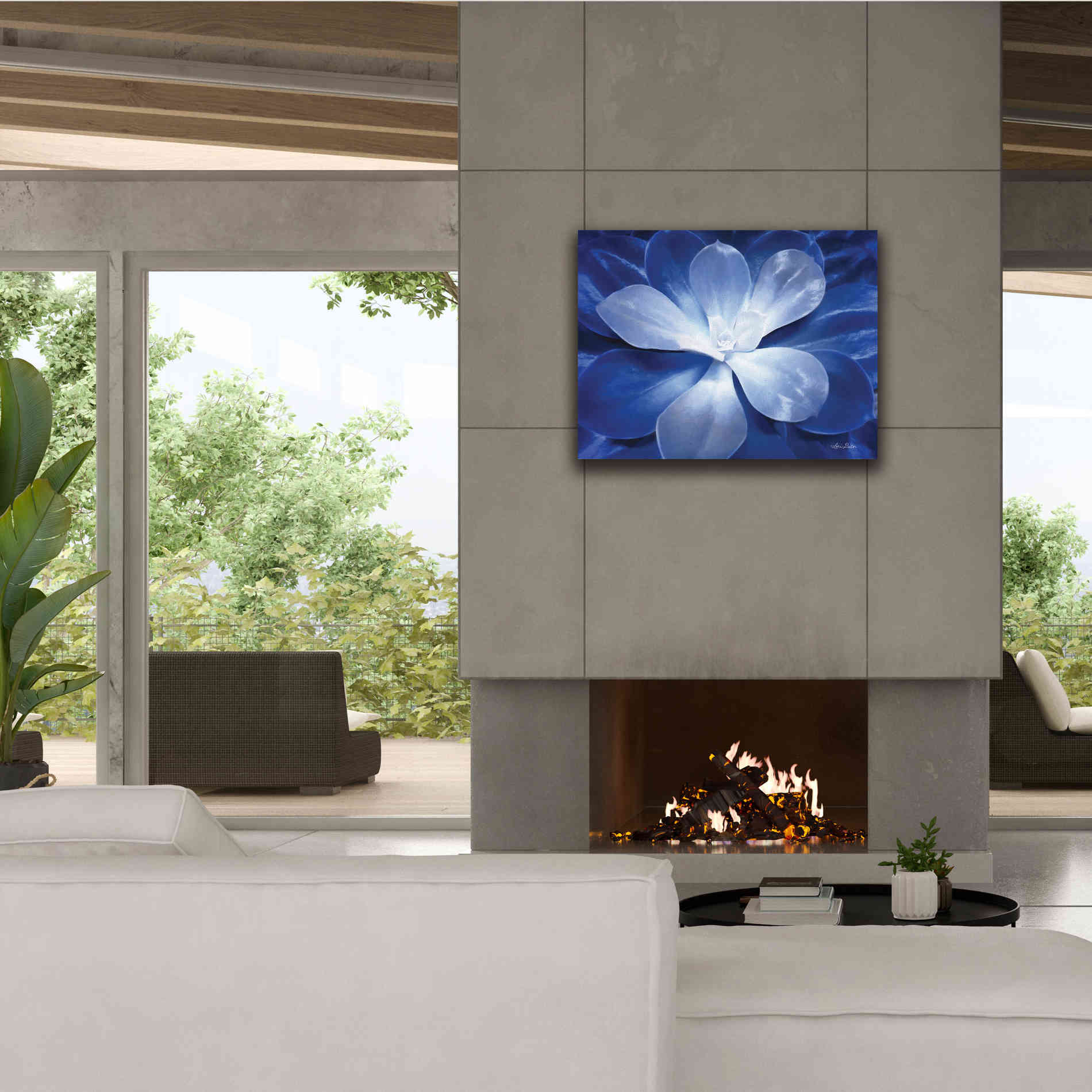 'Blue Succulent II' by Lori Deiter, Canvas Wall Art,34 x 26