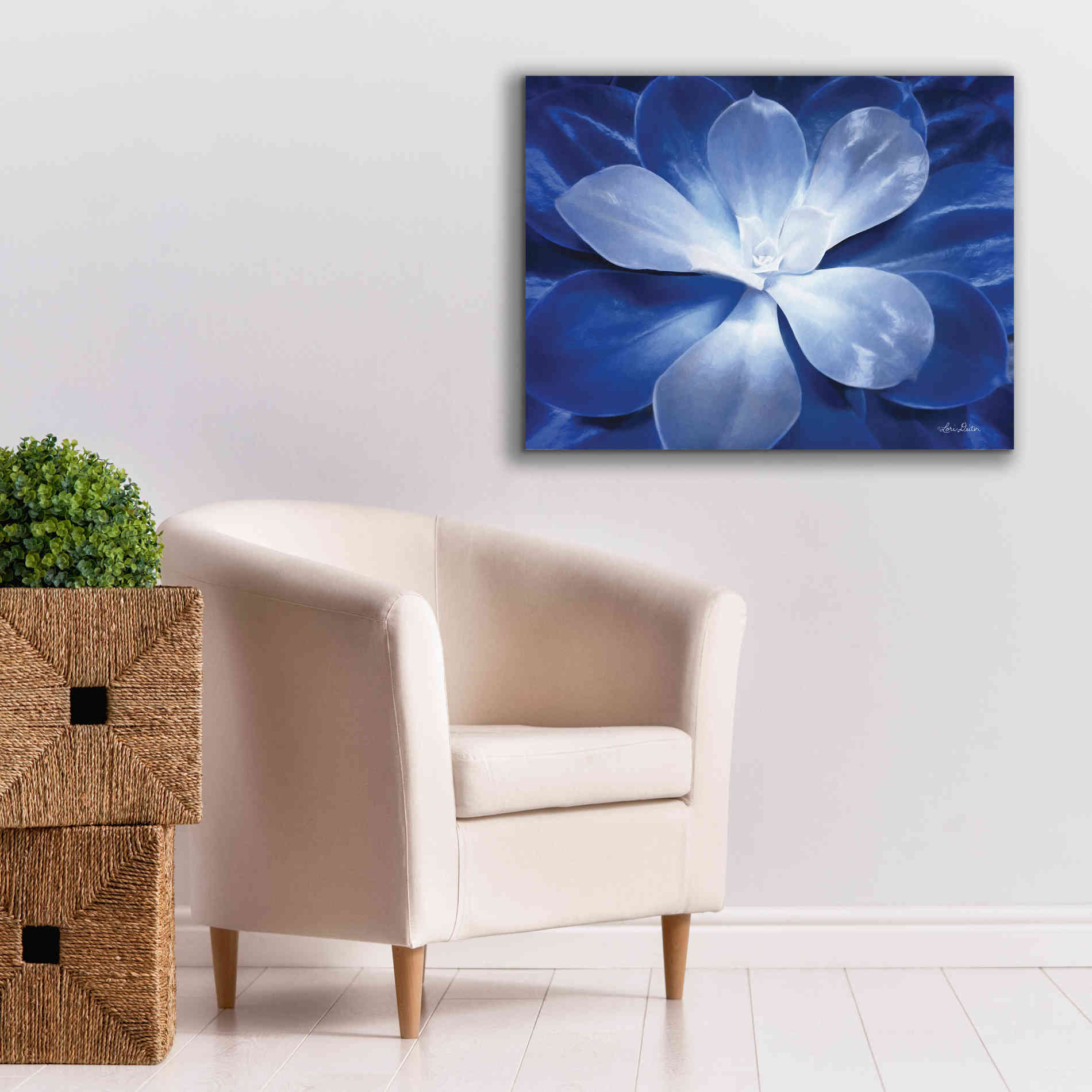 'Blue Succulent II' by Lori Deiter, Canvas Wall Art,34 x 26