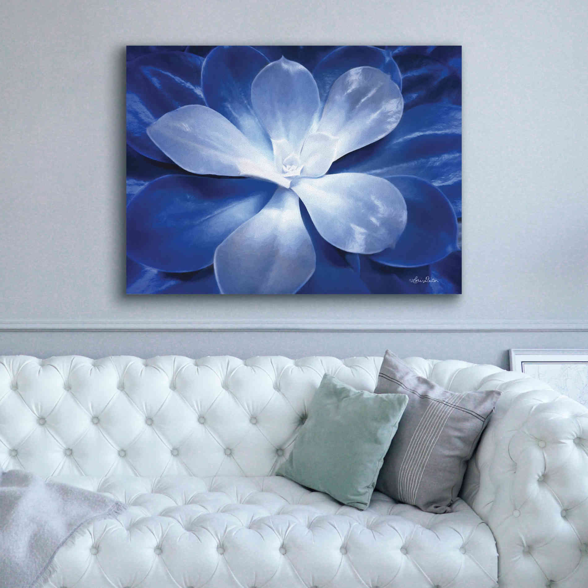 'Blue Succulent II' by Lori Deiter, Canvas Wall Art,54 x 40