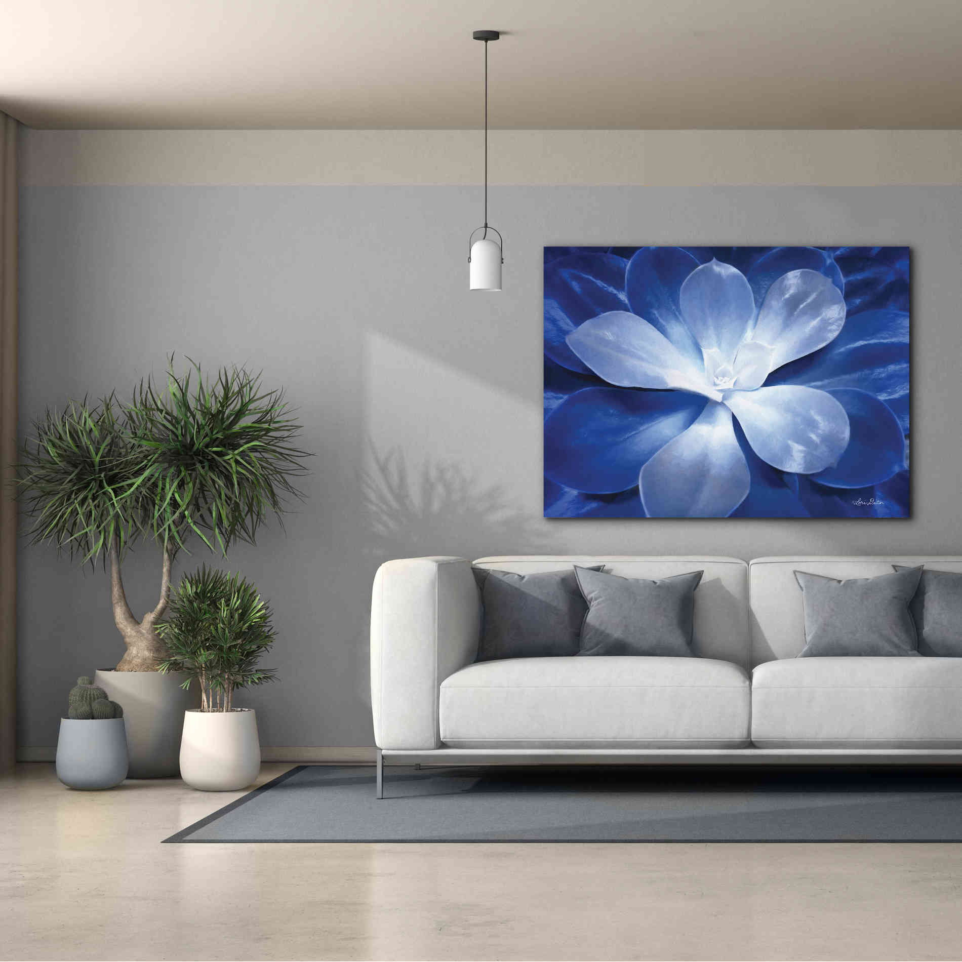 'Blue Succulent II' by Lori Deiter, Canvas Wall Art,54 x 40