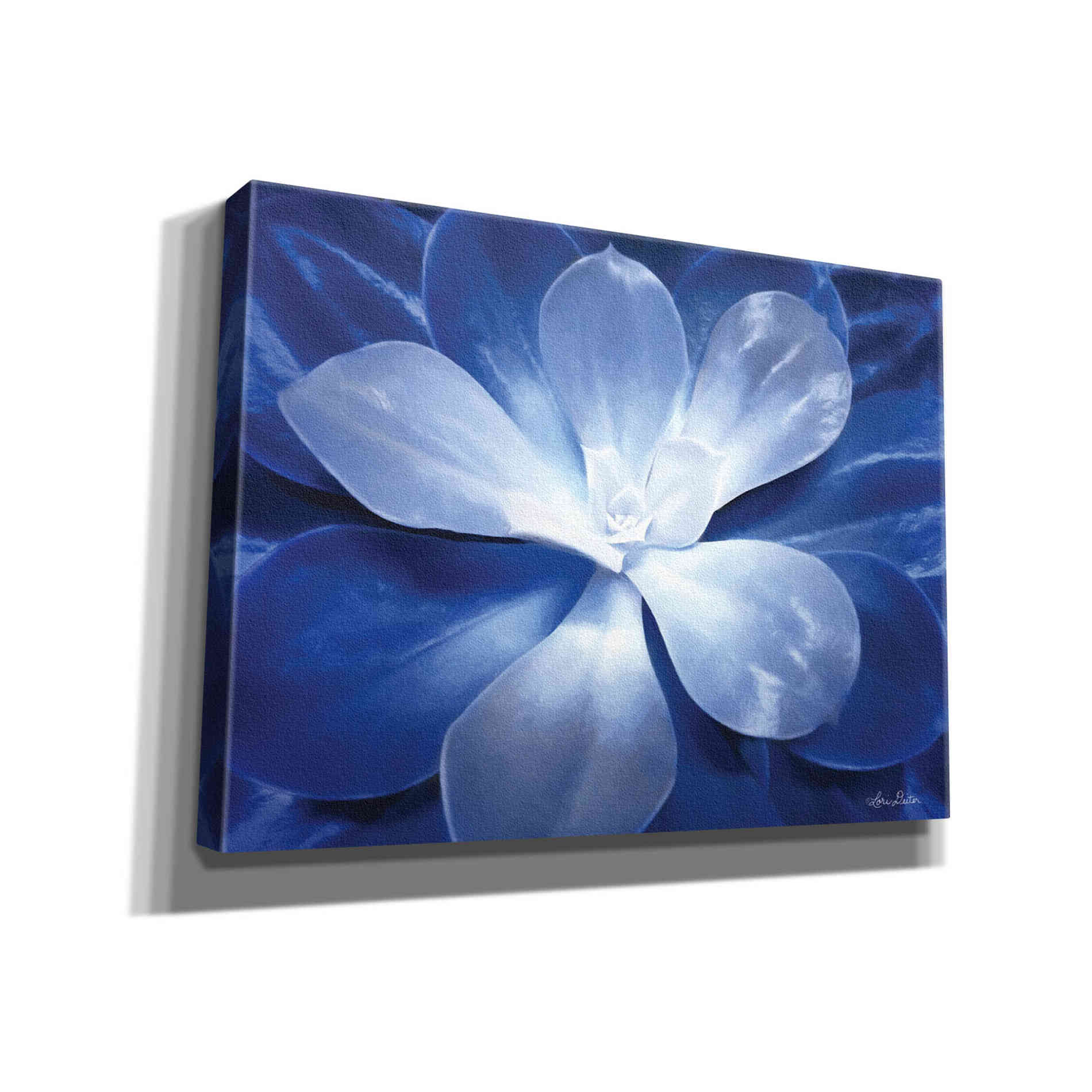 'Blue Succulent II' by Lori Deiter, Canvas Wall Art