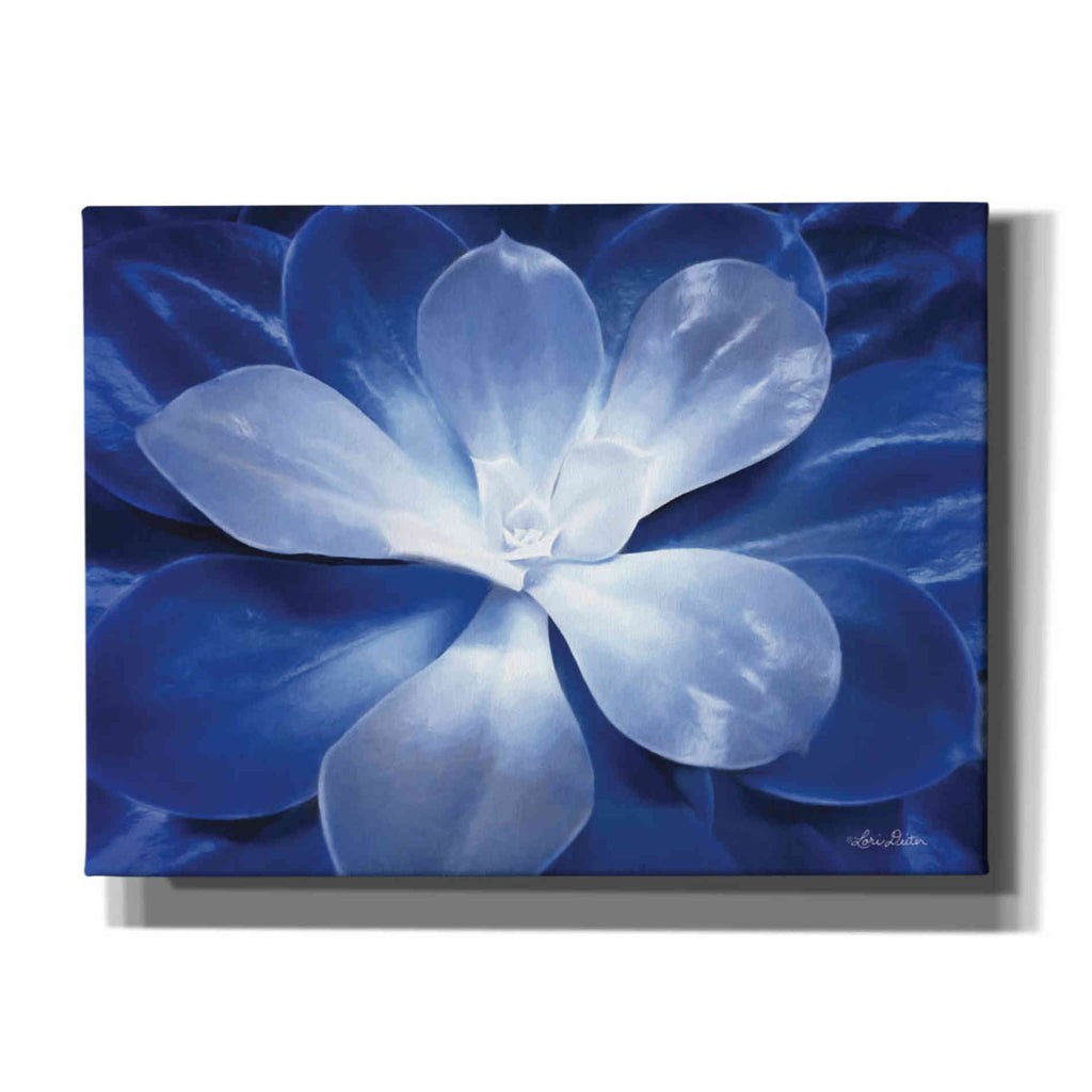 blue succulent wall art 'Blue Succulent II' by Lori Deiter, Canvas Wall Art