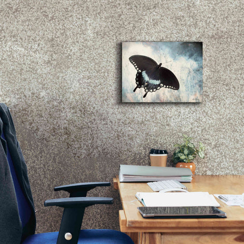 Image of 'Teal Butterfly I' by Lori Deiter, Canvas Wall Art,16 x 12