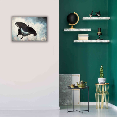 Image of 'Teal Butterfly I' by Lori Deiter, Canvas Wall Art,26 x 18