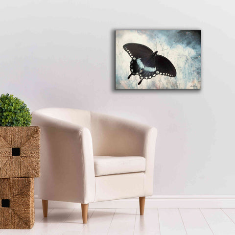 Image of 'Teal Butterfly I' by Lori Deiter, Canvas Wall Art,26 x 18