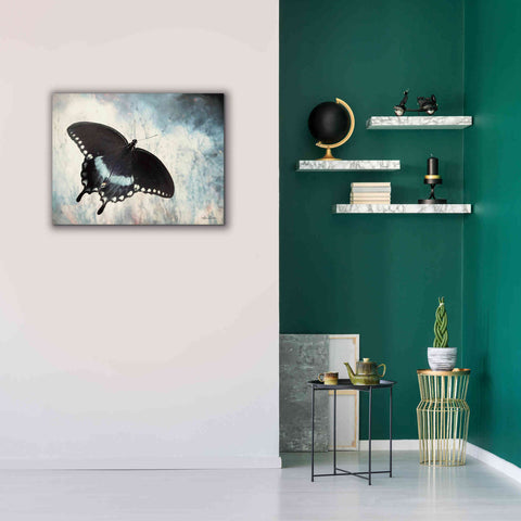 Image of 'Teal Butterfly I' by Lori Deiter, Canvas Wall Art,34 x 26