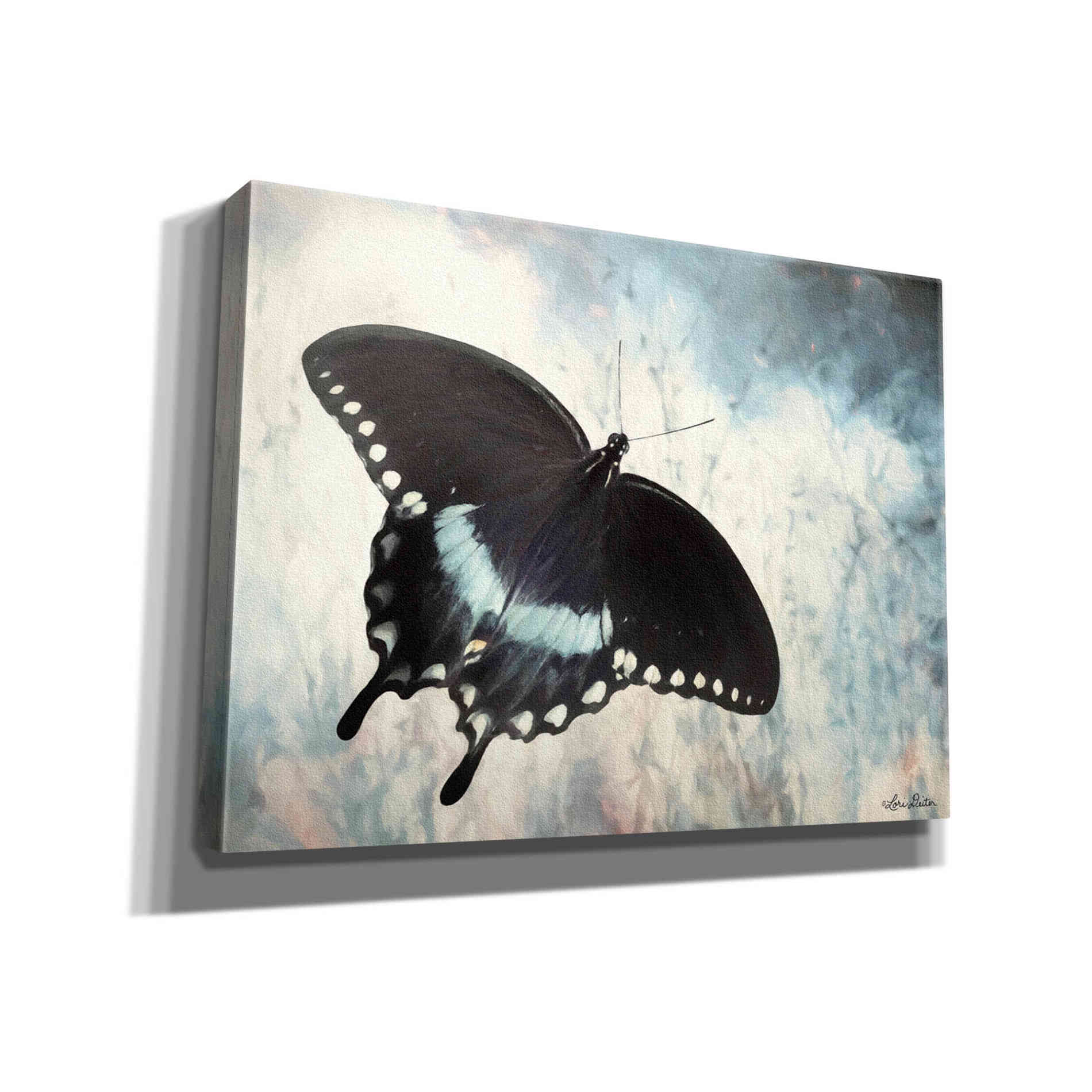 'Teal Butterfly I' by Lori Deiter, Canvas Wall Art