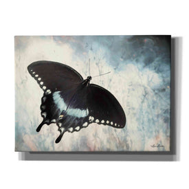 'Teal Butterfly I' by Lori Deiter, Canvas Wall Art