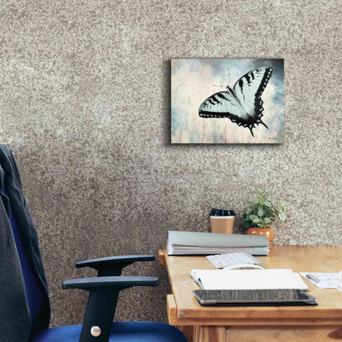 Image of 'Teal Butterfly II' by Lori Deiter, Canvas Wall Art,16 x 12