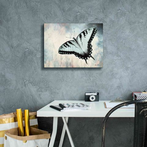 Image of 'Teal Butterfly II' by Lori Deiter, Canvas Wall Art,16 x 12