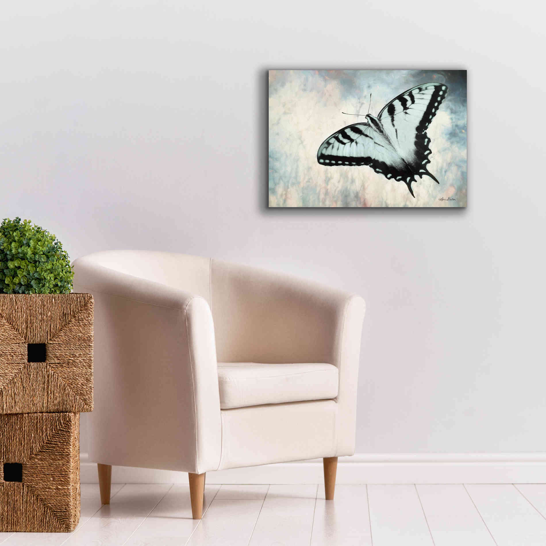 'Teal Butterfly II' by Lori Deiter, Canvas Wall Art,26 x 18