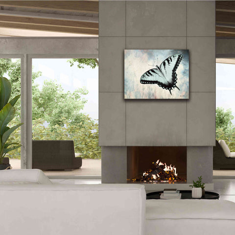 Image of 'Teal Butterfly II' by Lori Deiter, Canvas Wall Art,34 x 26