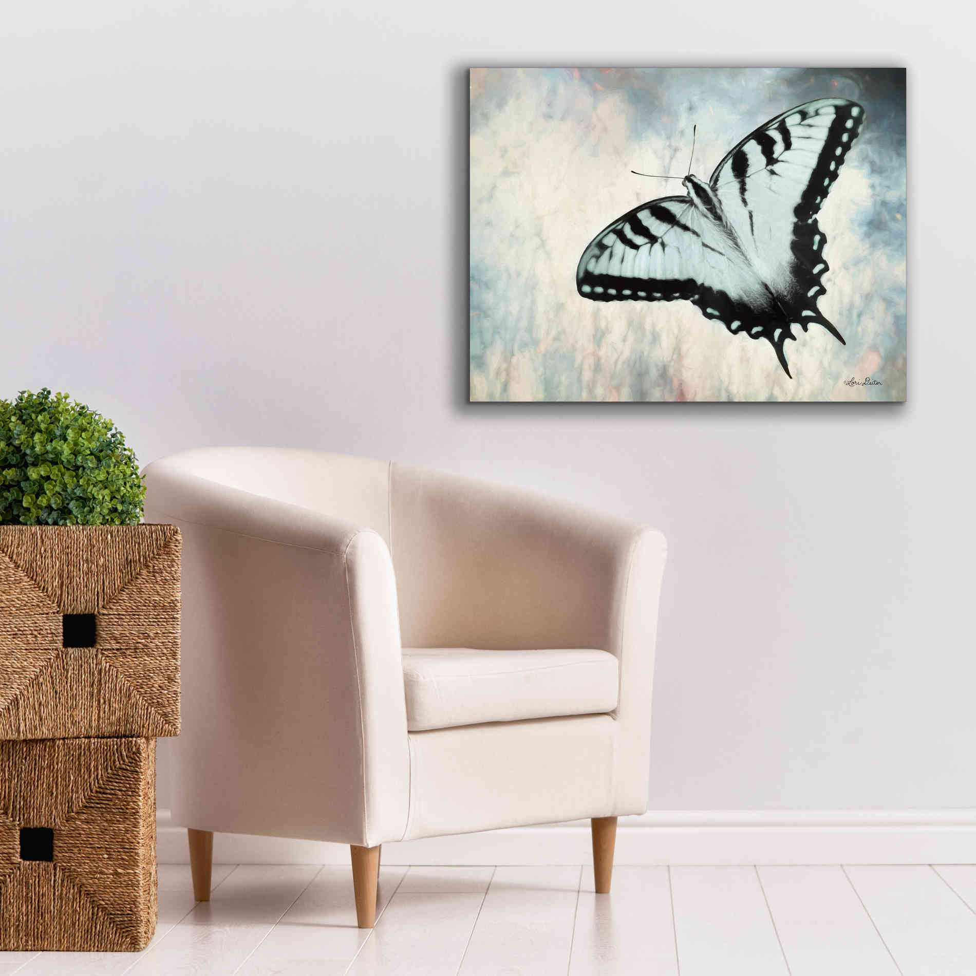 'Teal Butterfly II' by Lori Deiter, Canvas Wall Art,34 x 26