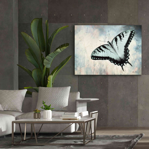 Image of 'Teal Butterfly II' by Lori Deiter, Canvas Wall Art,54 x 40