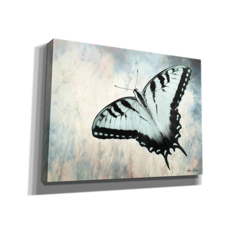 Image of 'Teal Butterfly II' by Lori Deiter, Canvas Wall Art
