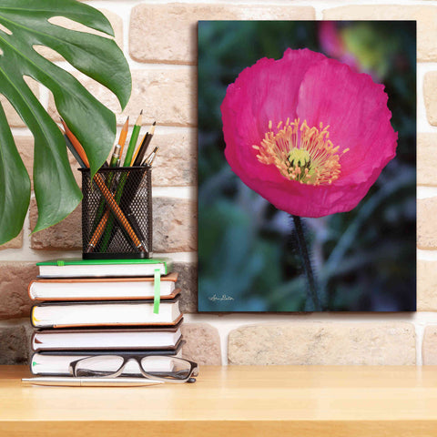 Image of 'Floral Pop I' by Lori Deiter, Canvas Wall Art,12 x 16