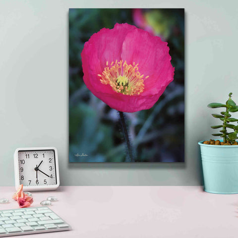 Image of 'Floral Pop I' by Lori Deiter, Canvas Wall Art,12 x 16