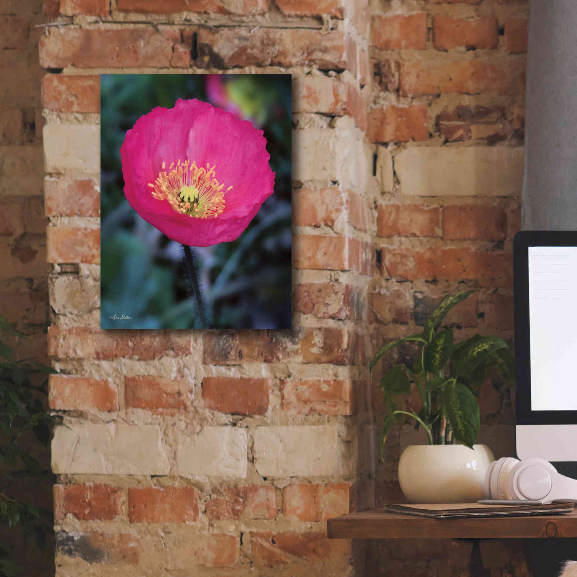 'Floral Pop I' by Lori Deiter, Canvas Wall Art,12 x 16