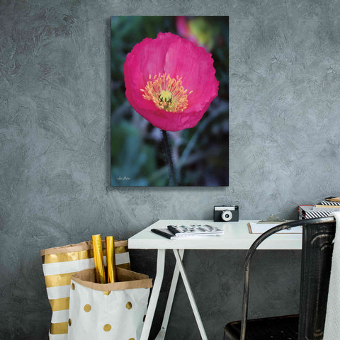 Image of 'Floral Pop I' by Lori Deiter, Canvas Wall Art,18 x 26
