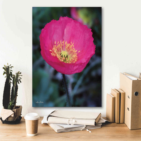 Image of 'Floral Pop I' by Lori Deiter, Canvas Wall Art,18 x 26