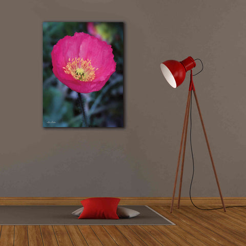 Image of 'Floral Pop I' by Lori Deiter, Canvas Wall Art,26 x 34