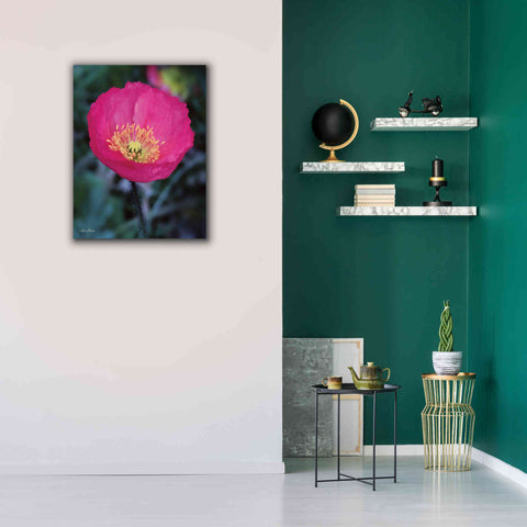 Image of 'Floral Pop I' by Lori Deiter, Canvas Wall Art,26 x 34