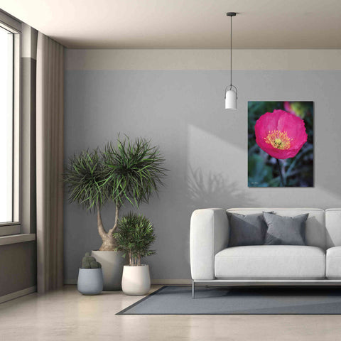 Image of 'Floral Pop I' by Lori Deiter, Canvas Wall Art,26 x 34