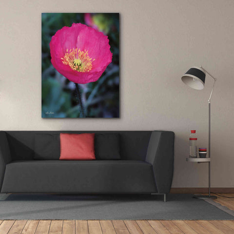Image of 'Floral Pop I' by Lori Deiter, Canvas Wall Art,40 x 54