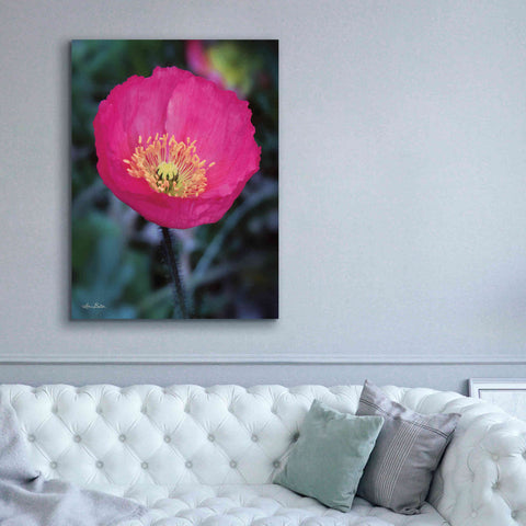 Image of 'Floral Pop I' by Lori Deiter, Canvas Wall Art,40 x 54