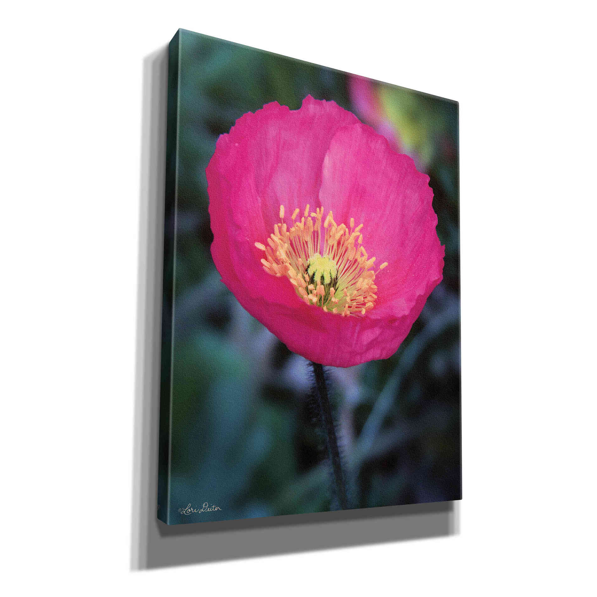 'Floral Pop I' by Lori Deiter, Canvas Wall Art