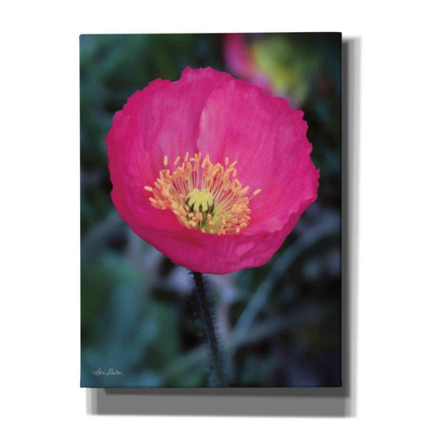 Image of 'Floral Pop I' by Lori Deiter, Canvas Wall Art