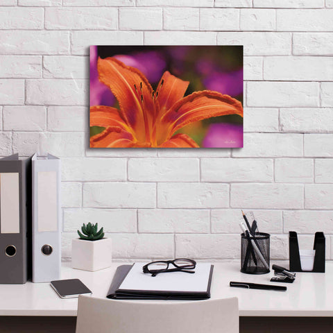 Image of 'Floral Pop V' by Lori Deiter, Canvas Wall Art,18 x 12