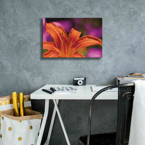 'Floral Pop V' by Lori Deiter, Canvas Wall Art,18 x 12