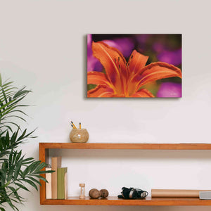 'Floral Pop V' by Lori Deiter, Canvas Wall Art,18 x 12
