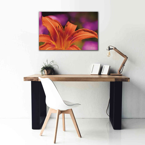 Image of 'Floral Pop V' by Lori Deiter, Canvas Wall Art,40 x 26